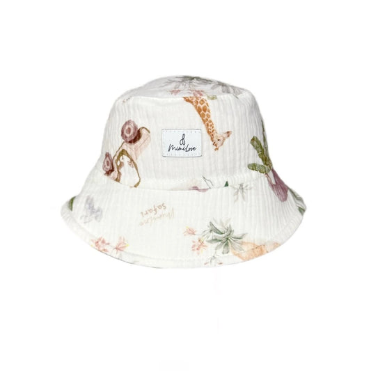 Musselin Sonnenhut - Safari