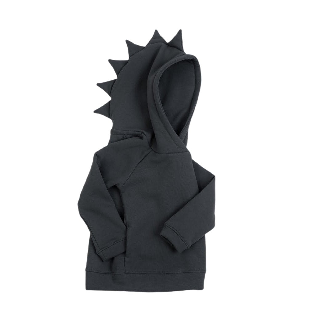 Kinder Hoodie DINO 06 – 12 Monate Graphit